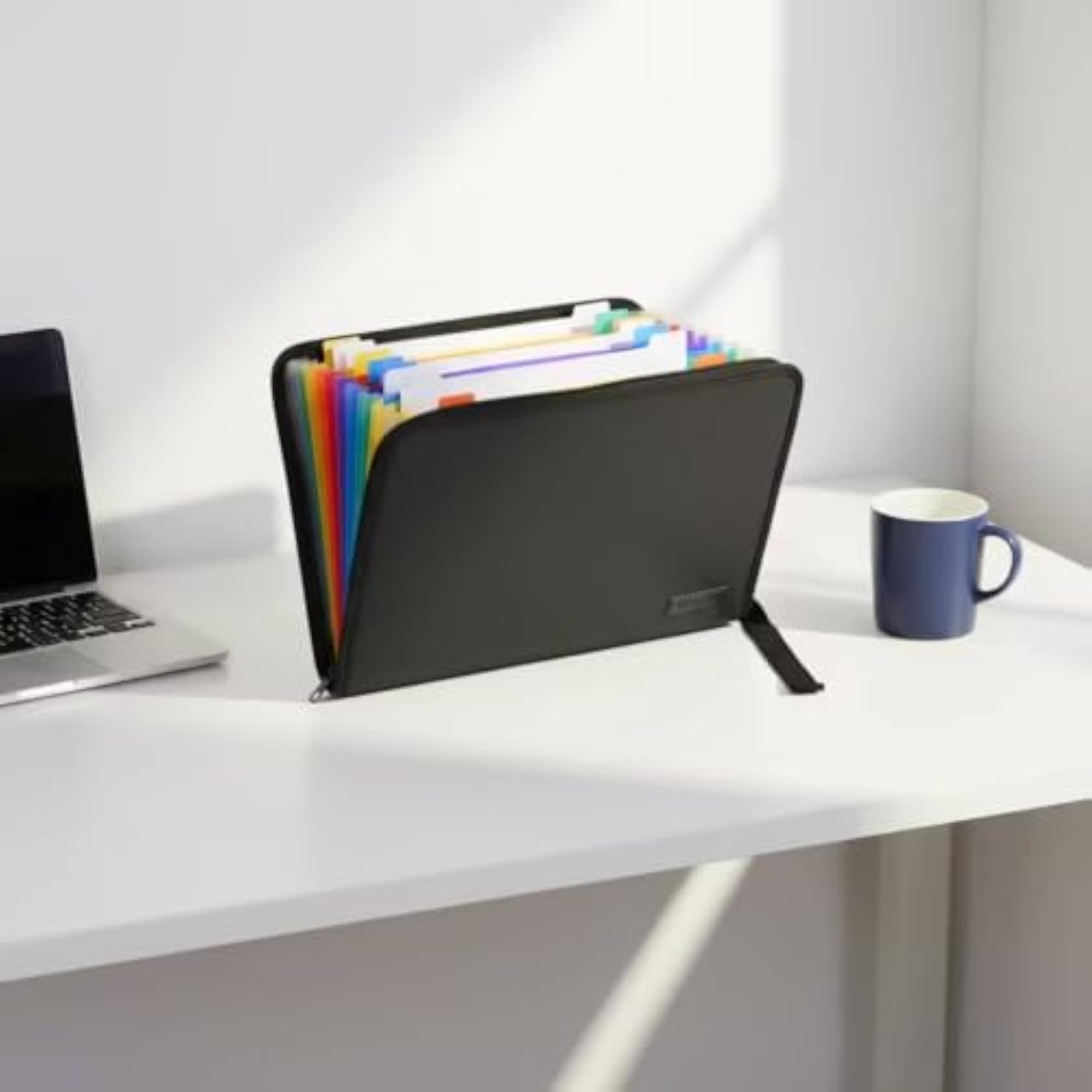 Colored Dividers Zipper Document Organizer
