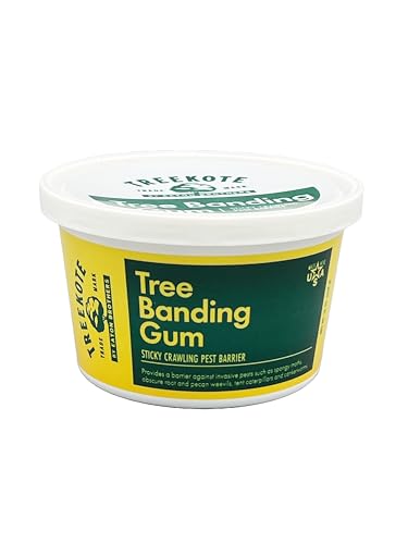 Tree Banding Gum, 15-oz.