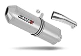 DOMINATOR Pot d'échappement Silencieux OVR compatible avec SV 650 S 1999 2002