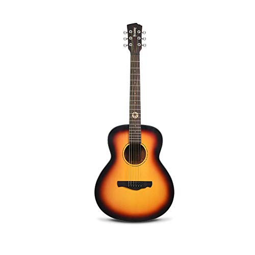 AR[XeBbNM^[ AR[XeBbNM^[EbhM^[SҏNSҎKM^[ y̑蕨 (F : Sunset yellow, Size : 36 inches)