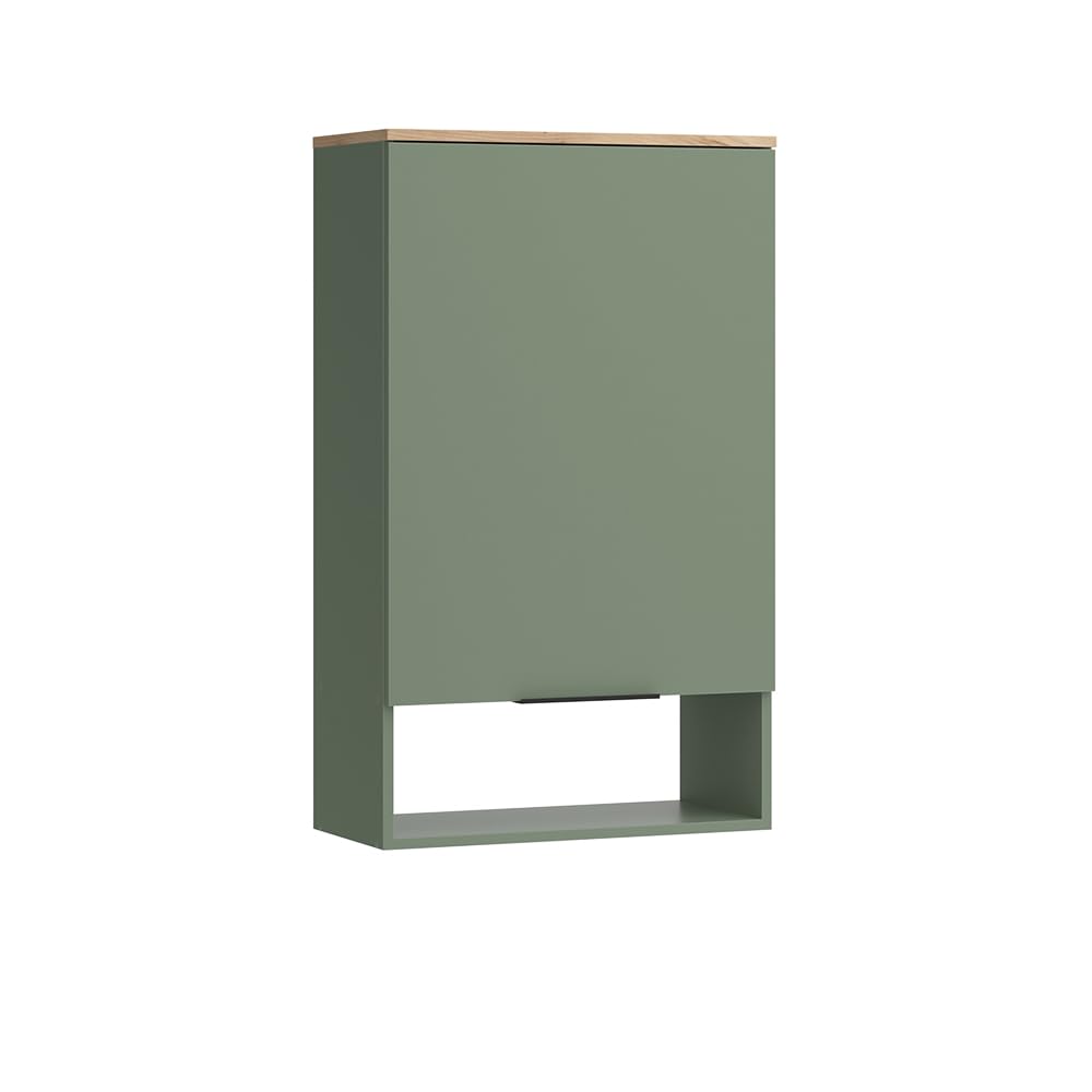 Vicco Libreria da parete Wido, Verde, 60 x 100 cm con porta, adatto al montaggio a parete per bagno o cucina