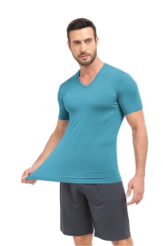 COLORFULLEAF Men's Undershirt Bamboo Rayon T-Shirts Short Sleeve V-Neck Soft Tees for Men Tag-Free Underwear 3 or 5 Pack2