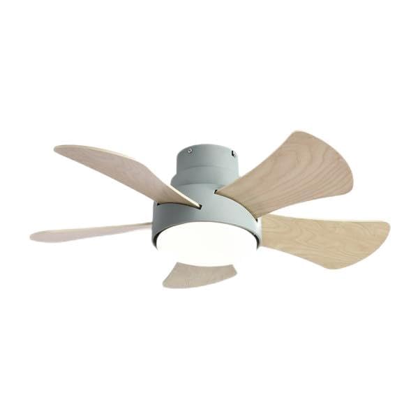 Brightium Ventilador DC 25W, 5 aspas, 6 velocidades, 3000-4000-6000K, con control remoto, memoria y temporizador, ideal para refrescar ambientes.
