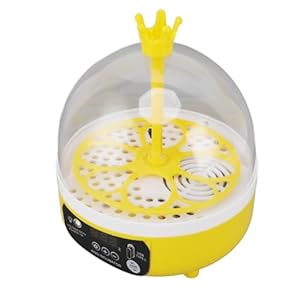 Dpofirs Mini-Eier-Inkubator mit Temperaturkontrolle
