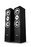 Bennett & Ross Radiant 3-Wege HiFi Standlautsprecher