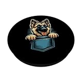 Zoom IMG-1 simpatico cucciolo di pastore tedesco Zoom IMG-1 simpatico cucciolo di pastore tedesco