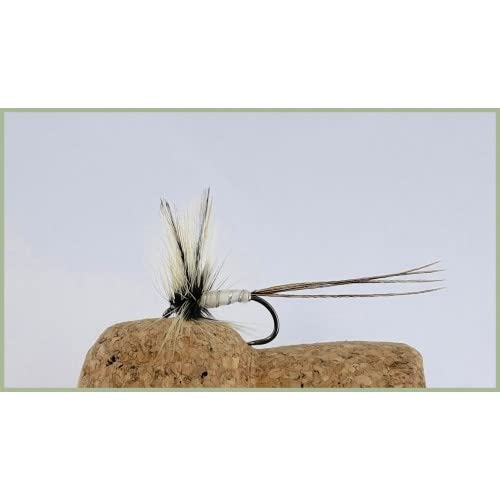 Mayfly Forellenfliegen, ohne Widerhaken, 6 Stück, Größe 10, Mayflies, Angelfliegen