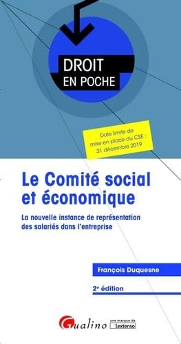 Le comité social et économique (CSE): La nouvelle instance de représentation des salariés dans l'entreprise (2019)