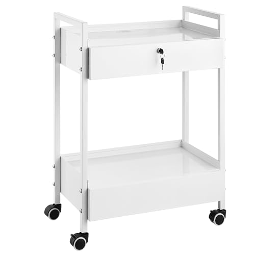 Vevor LAB CART 4 WHITE Cart, 2 Tiers Stainless Steel Utility Cart, Medical Cart With 2 Drawers, Rolling Lab Cart White Paint, Serving Cart With Swivel Casters For Laboratory, Hospital, Dental cover