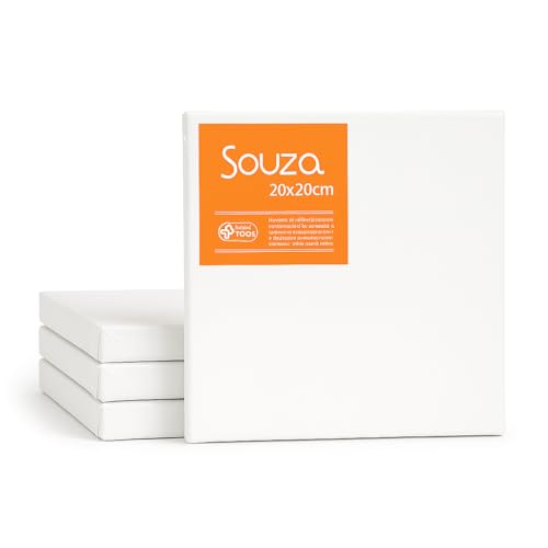 Kit com 4 Telas para Pintura Souza & Cia 20x20cm – Algodão 100% com Chassi de Madeira – Souza – Ideal para Iniciantes, Escola e Ateliê (Kit com 4 Telas – 20x20cm)