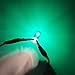 Yifengshun T10 Small Halogen Light Bulb Green,Super Bright 194 W5W 168 5W Wedg Bulbs for Car License Plate Light Dome Map Light Side Parking Light Fog Light Tail Light 12V (10 Pack)