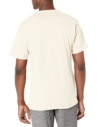 Champion-Mens-Classic-Everyday-Soft-Comfortable-T-Shirt-Regular-or-Big-Tall