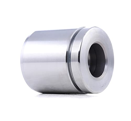 RIDEX 2248P0051 Émbolo pinza del freno Compatible con JEEP Grand Cherokee I ZJ, ZG