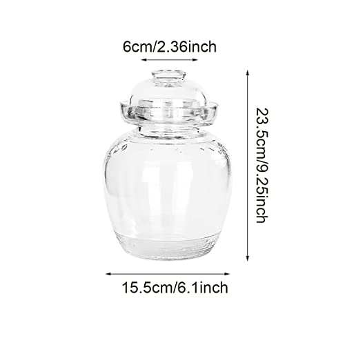 Aosnttol 2.5 Liter Pickle Jar Glass Jar with Lid, Fermentation Kit with Water Seal Airlock Lid, Canning Jar for Pickles, Kimchi, Sauerkraut, Kombucha, Paocai