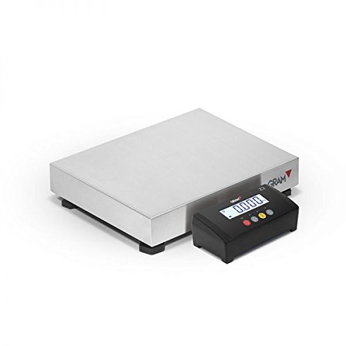 Balance plate-forme professionnelle 40x30cm - 60kg /10g