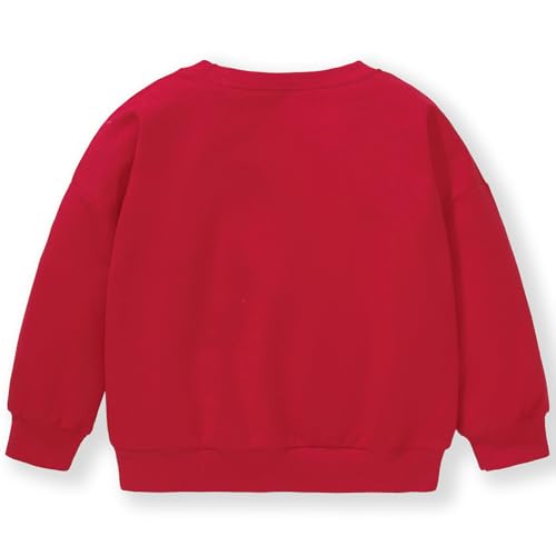 Image of Hongshilian Unisex Kids Cute Cartoon Cotton Sweater Shirt
