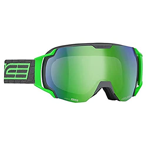 Salice 619DARWF, Maschera da Sci Unisex – Adulto, Antracite Verde, M