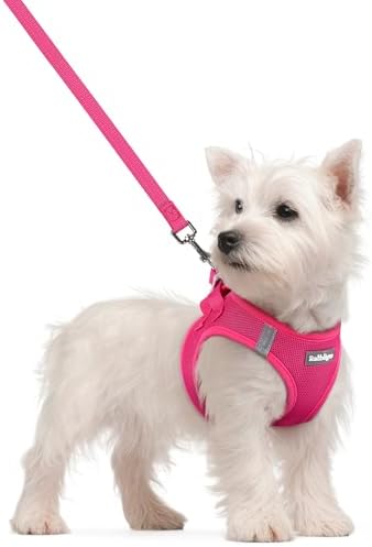 rabbitgoo Dog Harness Small Sized and Leash Set, Step in Soft Lig...