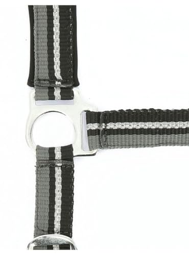 Norton Halter Brillant cabezada ajustable con muserola acolchada 2