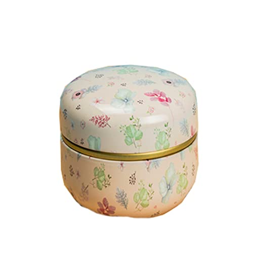 OWLONLINE Lot de 2 mini pots à thé portables exquis Boîtes à thé en étain Bonbons/Café/Thé/Cuisine Stockage d'épices -Capacité 20 grammes, B5 Cover