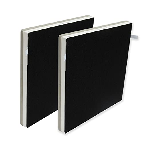 PUREBURG Filtro de repuesto compatible con purificador de aire Beurer LR 300/LR 310, paquete de 2 unidades H13 HEPA y prefiltro x 4