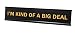 I'm Kind of A Big Deal 2"x10" Novelty Nameplate Desk Sign