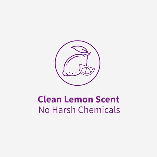 Image of Rejuvenate High Performance Stone Tile and Laminate Floor Cleaner Streak-Free Formula Dries Fast 32oz Covers up to 500 SqFt