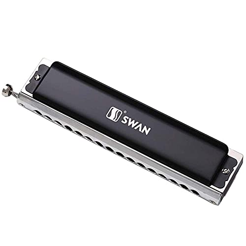 Harmonica Couleur Master harmonica ABS Comb 16 trous 64 tonnes harpe C instrument professionnel sw1664 couvercle noir - Les Beatles, Paul McCartney, John Lennon, RIngo Starr, George Harrison Harmonica Couleur Master harmonica ABS Comb 16 trous 64 tonnes harpe C instrument professionnel sw1664 couvercle noir – Image 3