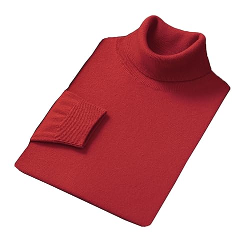 Pull col roulé pour hommes FULBHPRINT en pure laine mérinos tricotée