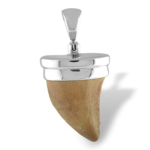 Starborn Fossil - Colgante de diente de mosasaurio en plata de ley, 1.5 inches, Plata esterlina Gema, fósil