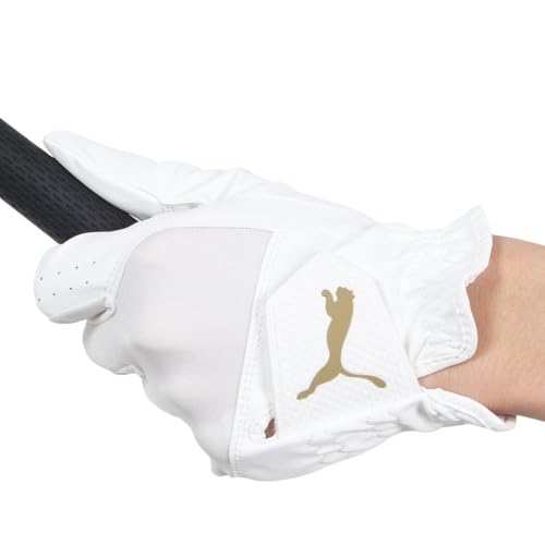 v[}iPUMAj p St Gg[O[u 042000-02 izCg/QSDO/Men'sj