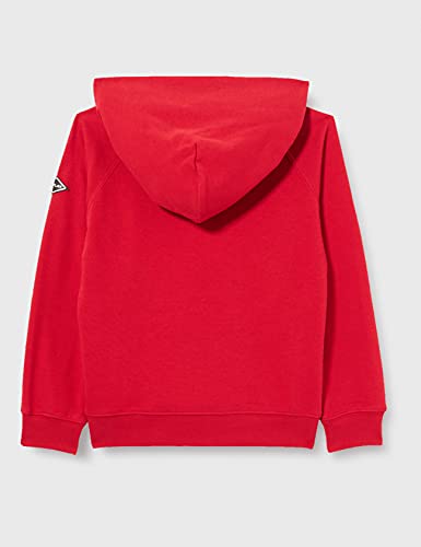 Sweat à capuche Replay Sb2420 garçon, confort premium en coton majoritaire