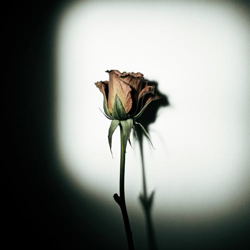 Jealousy - Унеси меня (Alex Rudy Mashup)