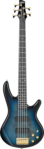Ibanez GSR205PC GIO Guitarra bajo de 5 cuerdas, diapasón de corazón morado, ráfaga marina transparente