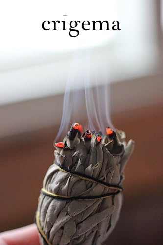 CRIGEMA - Smudging-Set zur Begasung - Weißer Salbei und Capasanta-Muschel - 100 % natürlich (SALVIA GINEPRO und Muschel von Capasanta)