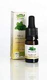 Die Scheune GmbH - Bio Minze Extrakt 100% natürich (5ml) zuckerfrei entspricht etwa 36 Stangen Minze; Bio-Kontrollstelle: DE-ÖKO-006