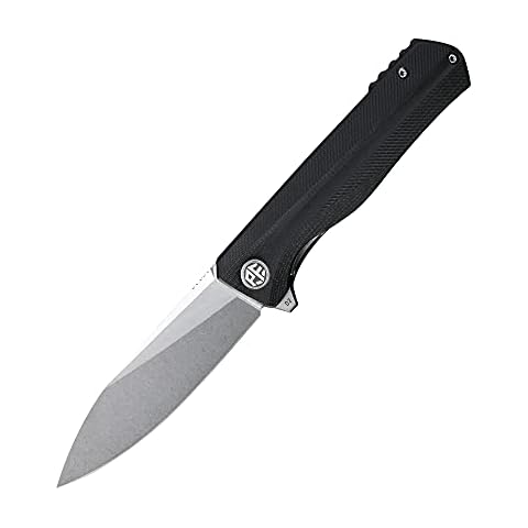 Petrified fish G10 handle D2 steel blade 2CR13 liner ball bearing flipper folding knife camping hunting EDC pocket tool PF818 (Black, Stonewash) Cover