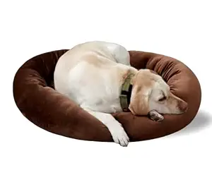 Pet Royal Luxurious Round Soft Velvet Dual Color Dog Cat Pet Puppy Bed Washable, Comfortable,Bed for All Types of Breed Dog and Cats (Brown)-Large