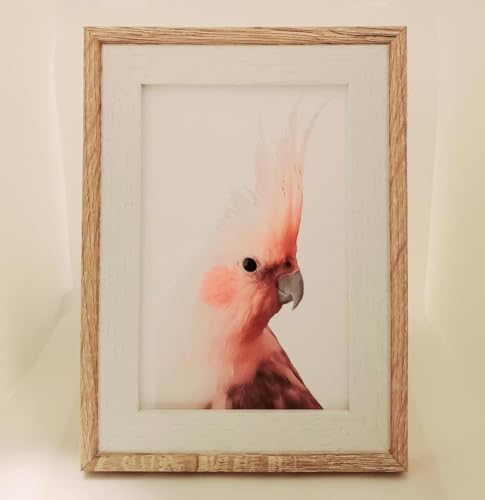 北欧調 鳥の雑貨 HANAKO キャンパスアート ピンクのオカメインコ ２Lのサムネイル