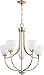 Quorum 6059-5-60 Transitional Five Light Chandelier from Enclave Collection in Pewter, Nickel, Silver Finish,