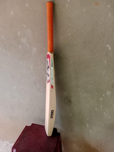 Eagle Leap Premium VIII Kashmir Willow Double Blade Scoop Cricket Bat for Hard Tennis Ball 8 31ZuuE9NFKL