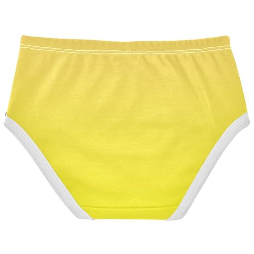 Joisal Yellow Gradient Ombre Little Girl Panties Toddler Underwear Floral Cotton Fun Undies Kids Briefs 2t2