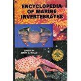 invertebrati marini gelatinosi e trasparenti  The Encyclopedia of Marine Invertebrates