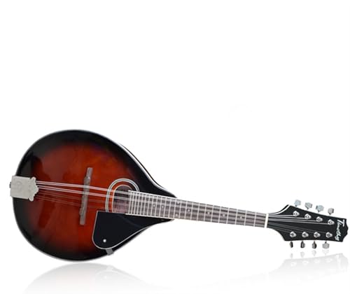 }hy S Xv[XplیCbh7s[XANZT[t8}hy