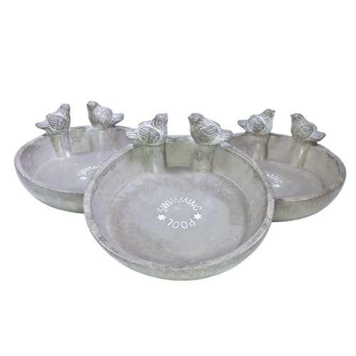 mgc24 Vogeltränke Swimming Pool Ø 25 x 4 5 cm robust & wetterfest