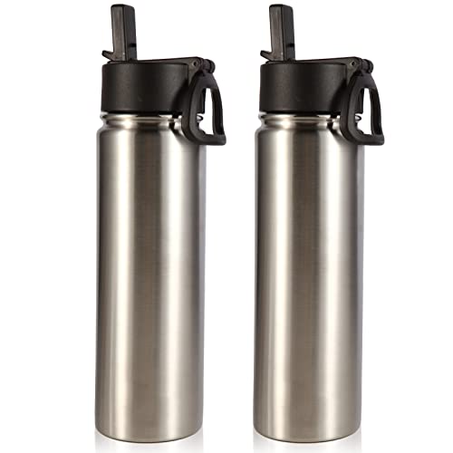 Volhoply 22oz Insulated Water Bottle with Straw Lid, Silver, 2-Pack