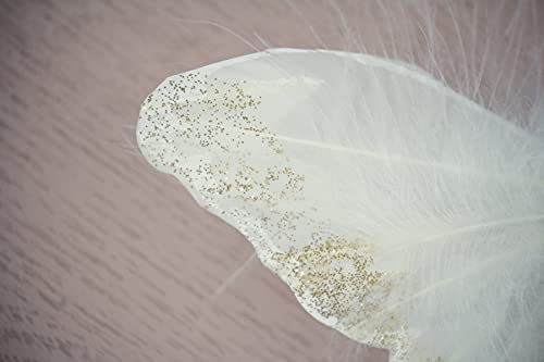 Inspired By Jewel Butterfly Wall Decorations Premium Quality Real Feather 3D Wall Decals Girls Bedroom | Stunning Gold Glitter Decor Stickers All Rooms & Nursery Sets | 10 Adhesive Pieces #TOP7