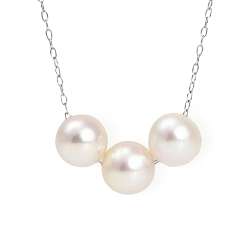 PLUSTER p[lbNX (7mm-7.5mm O) T[WJXeX316L Fa  ^ (Mtg {bNX Zbg)/ fB[X Y WG[ ANZT[ a NX}X v[g