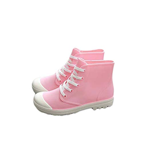 [GN2AAIL] CV[Y fB[X Xj[J[  킢 CXj[J[ V[Y Sh ₷ ʋ ʊw nCJbg nCJbgXj[J[ nCJbgV[Y JC C  Vv n u[ 24.5cm sN