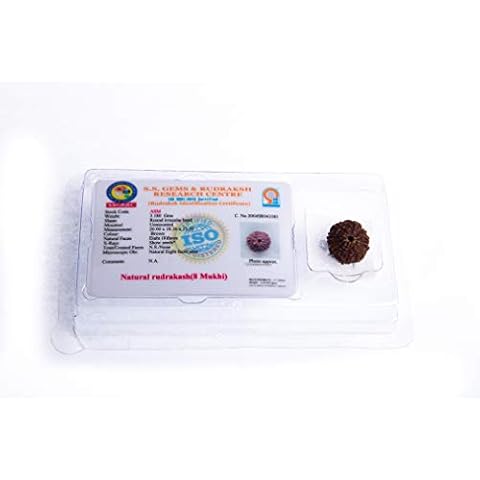 Wonder Care Authentic Ten Faced Rudraksha Bead Cover
